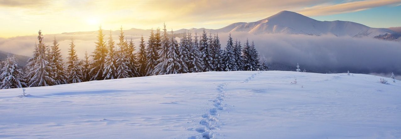 The Snow Dwarves exist to protect those who love the mountains. They are part of an up and coming anthology of stories by Trudy Storm