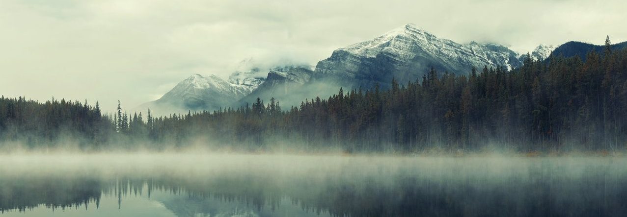 Read the Mist and the Mountain Pass, a flash fiction short story by Trudy Storm